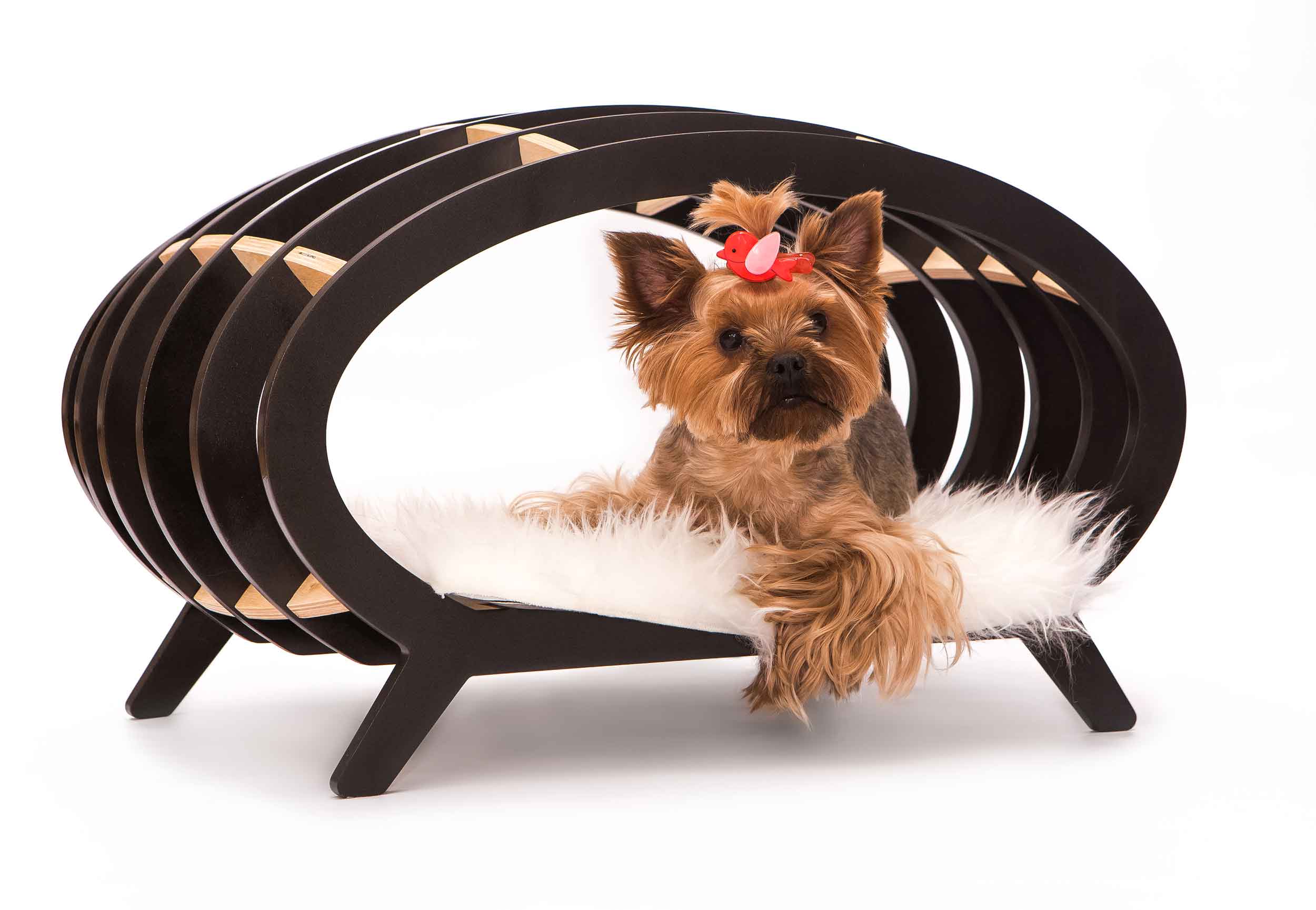 Лежак для собаки своими руками: необычные варианты из подручных материалов | звери дома