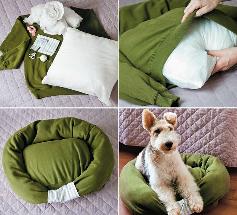 Лежак для собаки своими руками: необычные варианты из подручных материалов