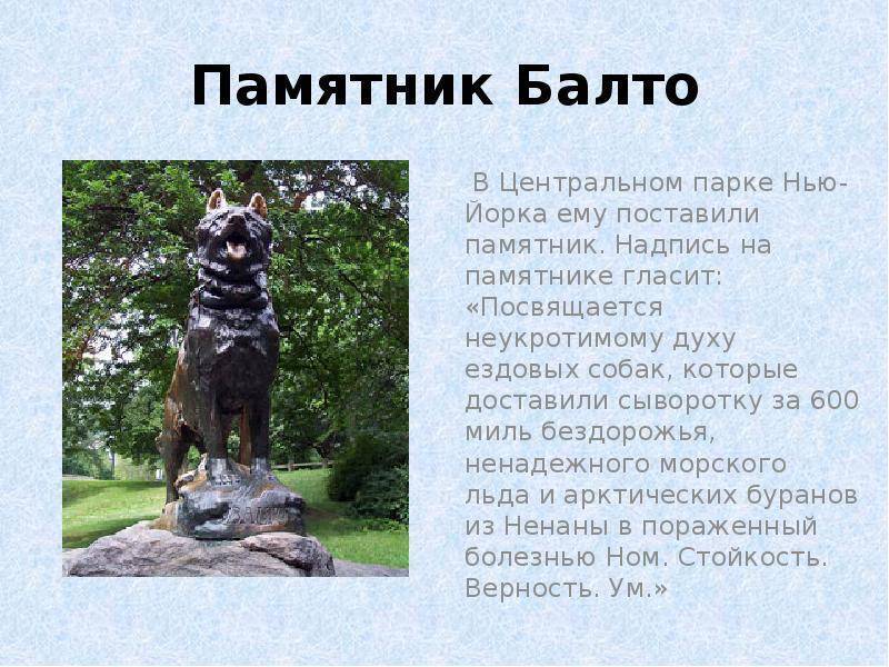 12 самых известных памятников собакам в россии и мире