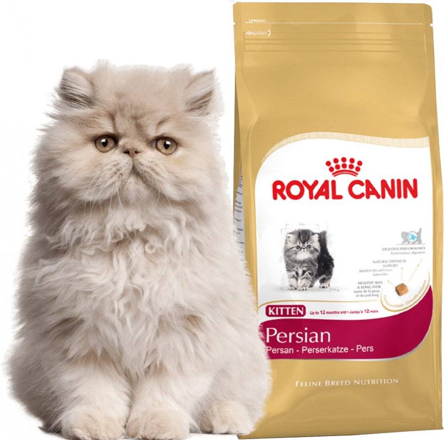 Какой самый хороший корм. Корм Роял Канин для персидских котов. Royal Canin Kitten Persian, 400 г. Корм для персидских котят Роял Канин. Роял Канин для длинношерстных кошек.