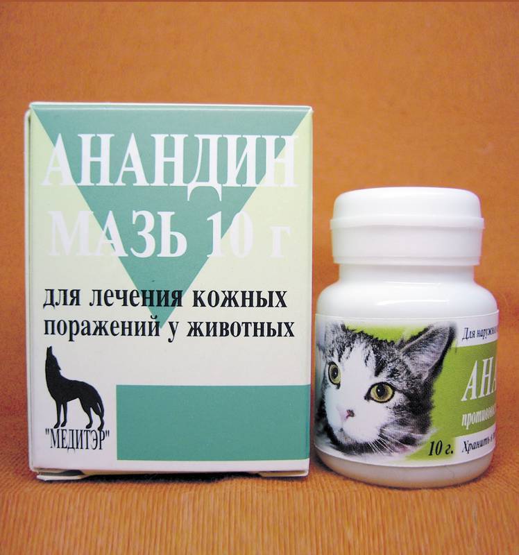 Чем лечить аллергию у кошек лекарства