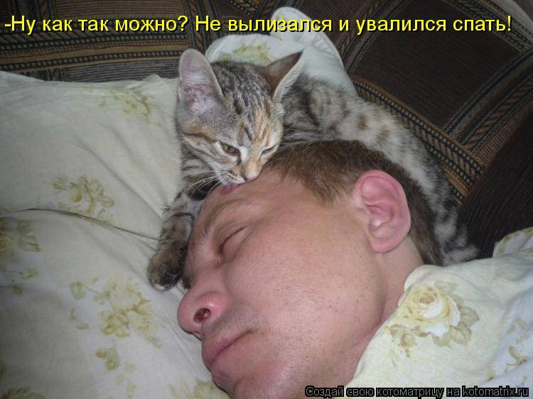 Почему кошка не спит ночью
почему кошка не спит ночью