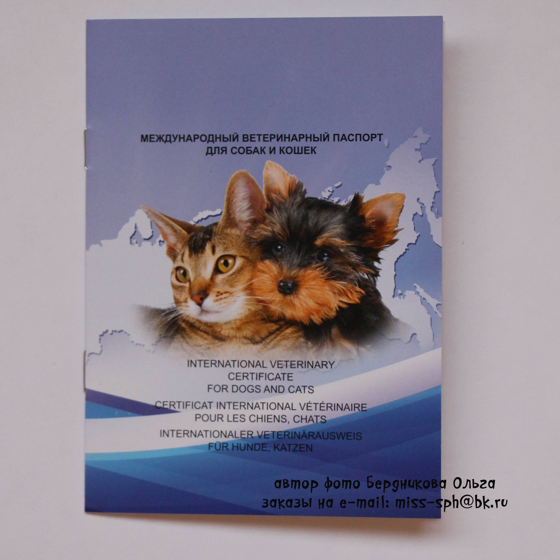 Ветеринарный паспорт для кошки: нюансы оформления документа