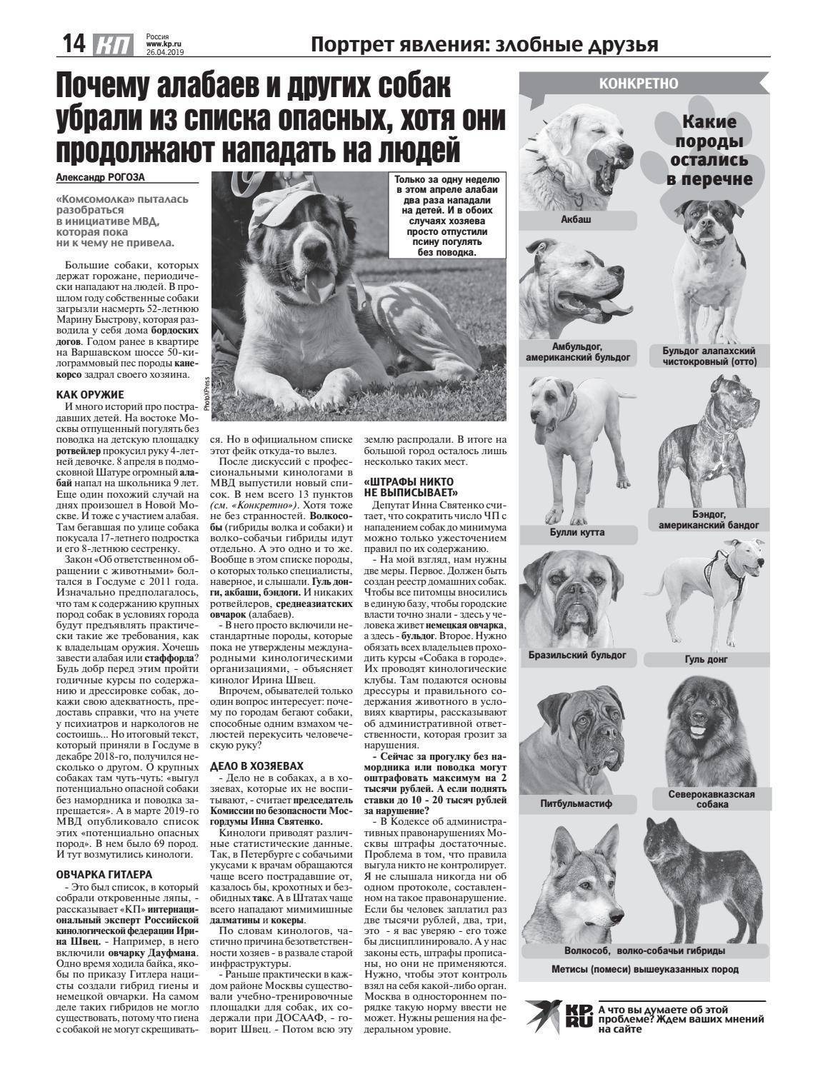 Какие породы собак запрещены в мире и в нашей стране? - dogsta.ru