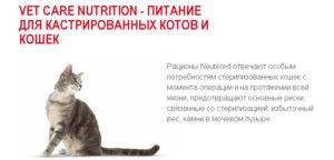 Чем кормить кастрированного кота: особенности рациона и выбора корма
