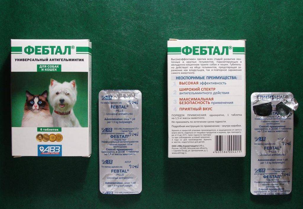 Катозал для кошек, инструкция по применению: состав, дозировка лекарства для животных, схема лечения