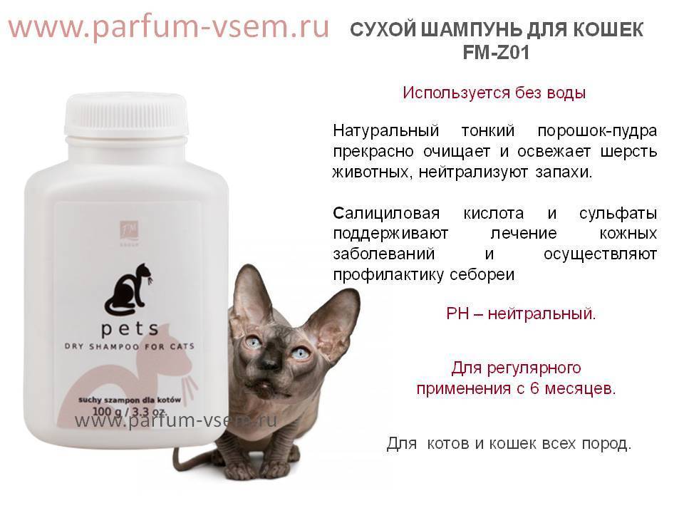Шампунь от блох для кошек и котят: какой лучше выбрать, отзывы