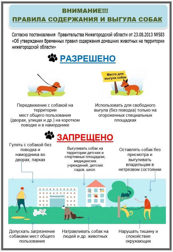 Закон о содержании собак в частном или многоквартирном доме: законы и нормы