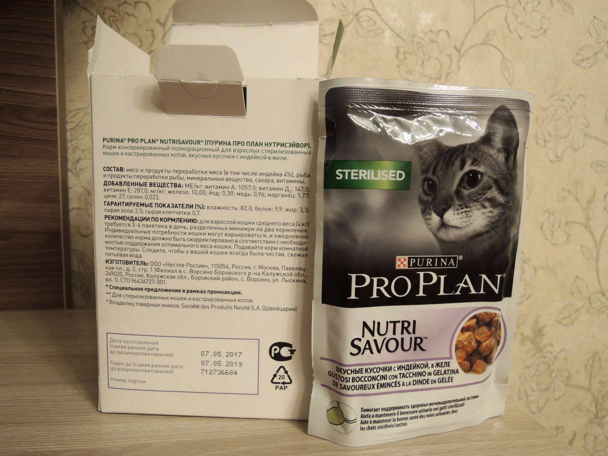 Можно ли кормить стерилизованную кошку обычным кормом? рейтинг кормов для стерилизованных кошек