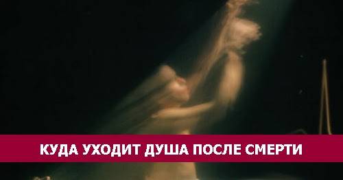 Есть ли душа у кошек и в какое время и куда она уходит после смерти, по православию, молиться или нет за котов
