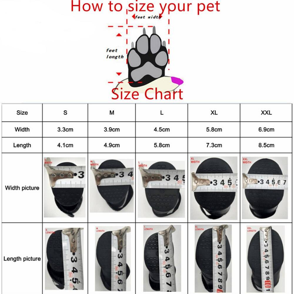 Обувь для собак: обзор лучших моделей 2021 года для мелких, средних и крупных пород