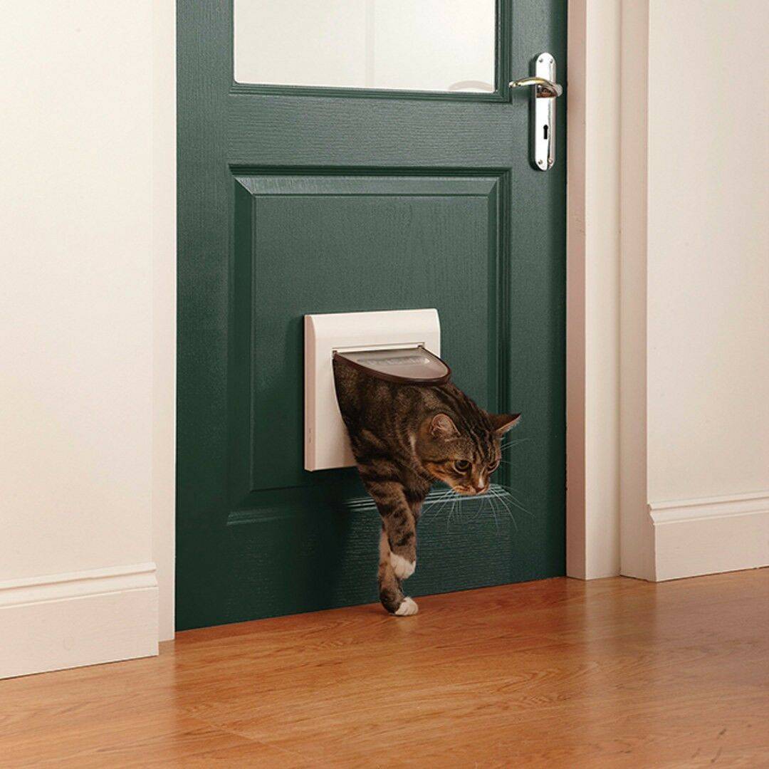 ᐉ лаз в двери для кошки, как сделать? - ➡ motildazoo.ru
