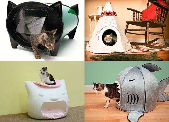 Простые идеи отличных игрушек для котов, созданных из подручных материалов