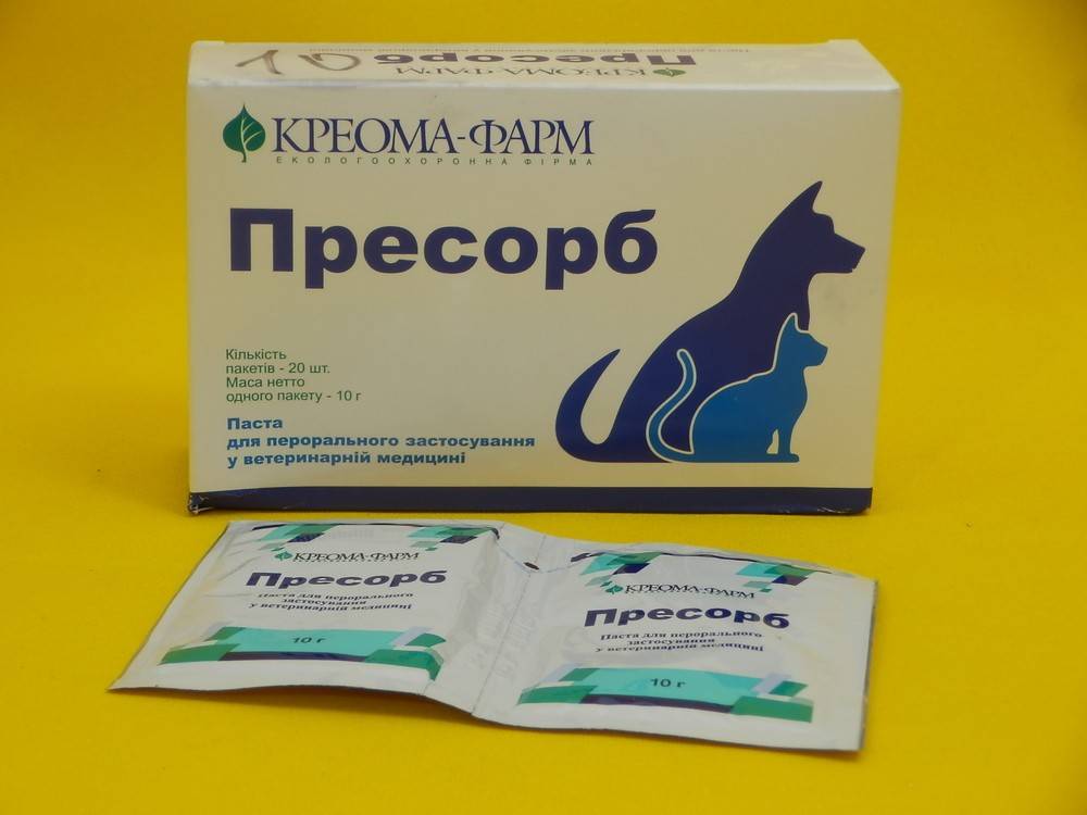 Энтеросгель для кошек: дозировка, когда необходимо давать, противопоказания