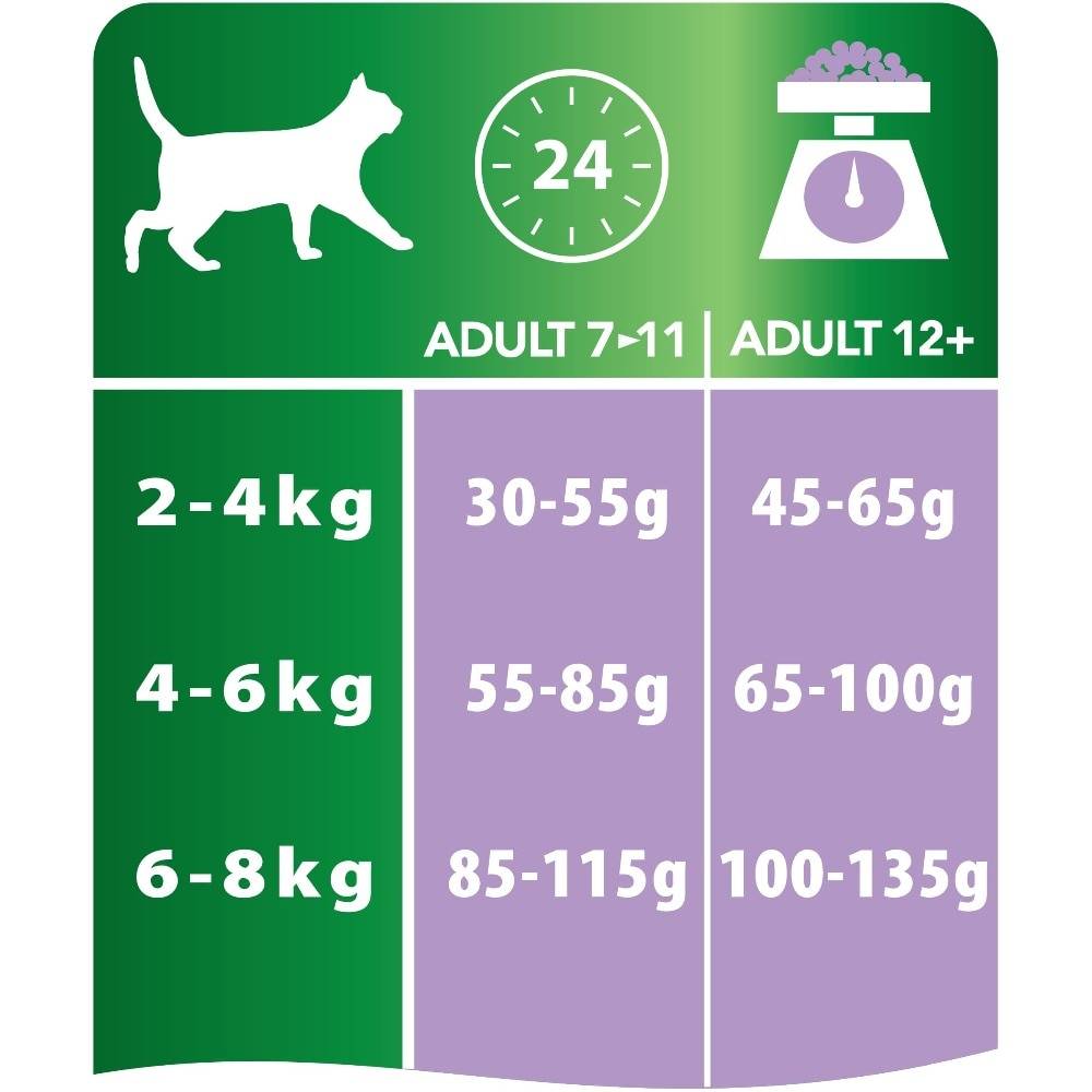 Нормы корма для кошек: суточная, дневная, как часто кормить