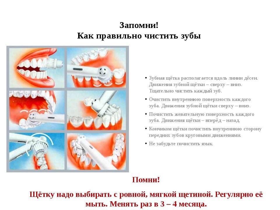 Чистим зубы ребёнку правильно - статьи - клиника «c нуля» (здоровая семья)