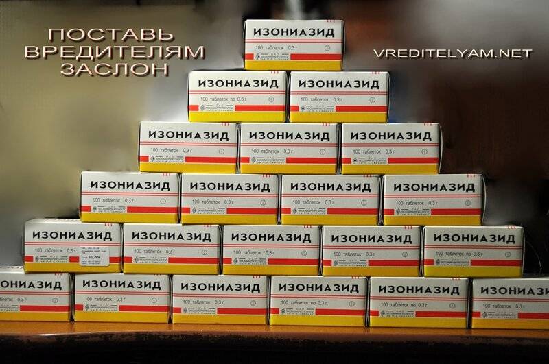 Чем отравить собаку. Чем можно отравить собаку. Чем можно отравить человека. Лекарства отрава для собак. Какими таблетками отравить собаку.