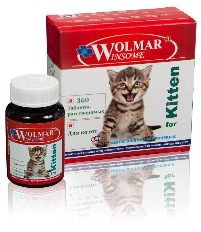 Витамины для кошек с кальцием - обзор препаратов с инструкцией, составом, показаниями и ценами