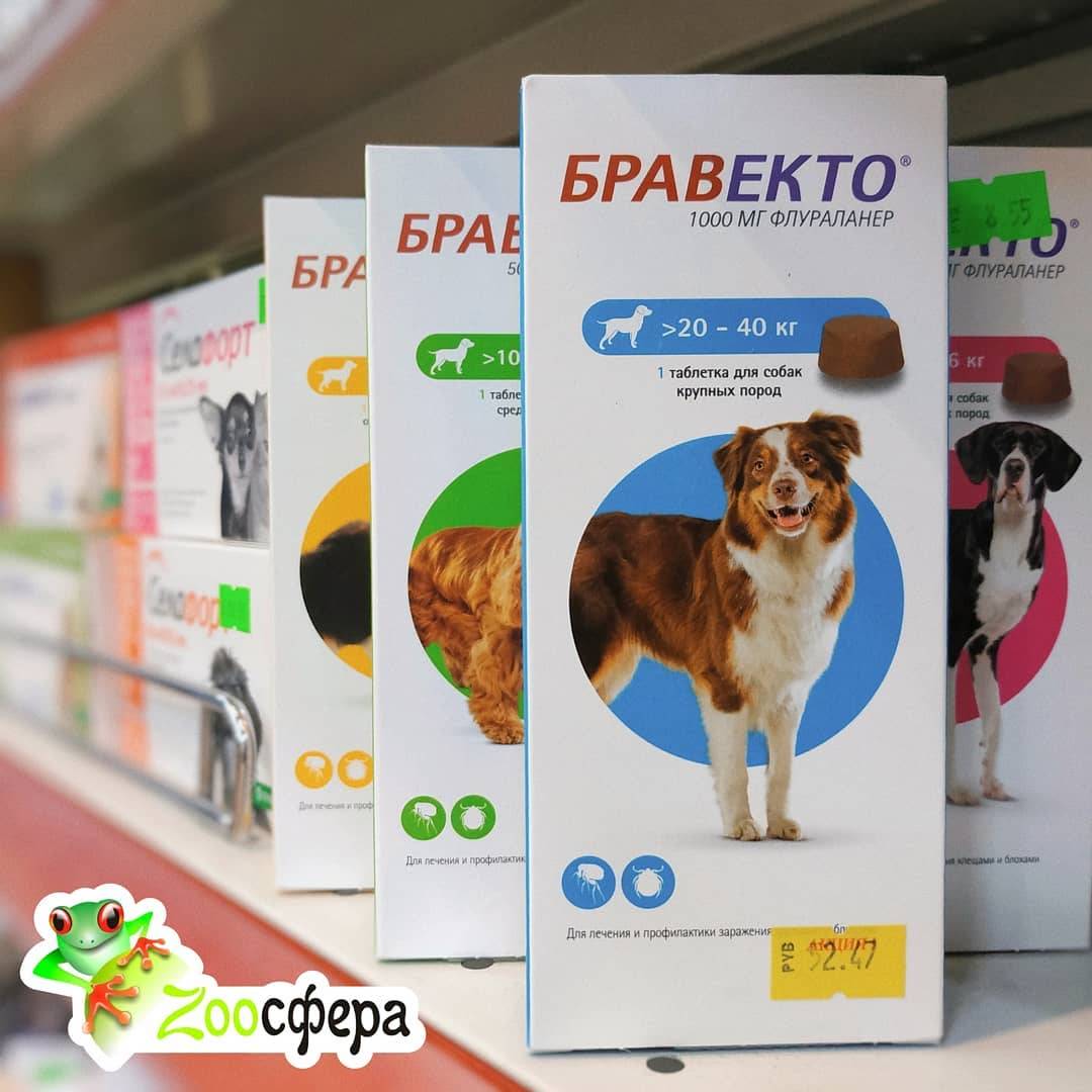 Жевательные таблетки «бравекто» для защиты собак от блох и клещей: состав, инструкция по применению