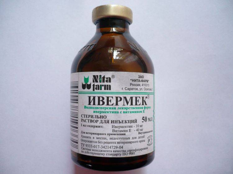 Ивермек для кошек - инструкция, показания к применению