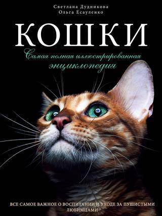 Правда и мифы об аллергии на кошек