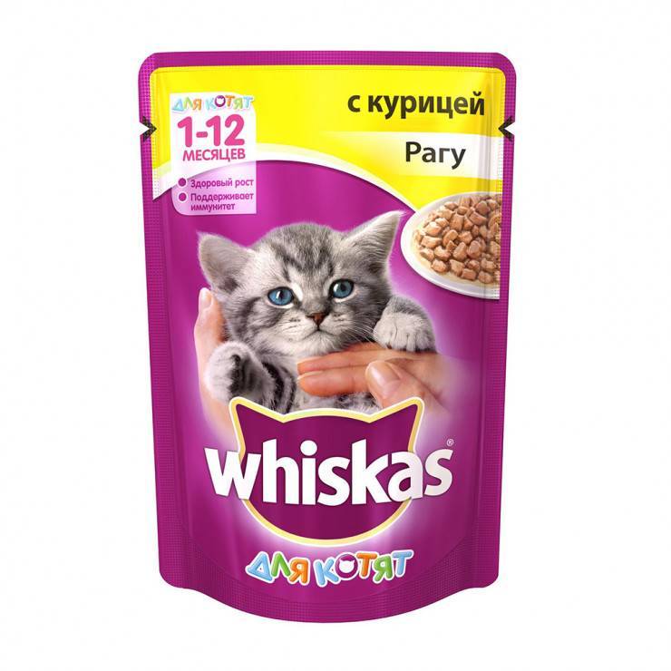 Корм для кошек вискас (whiskas) - отзывы и советы ветеринаров
