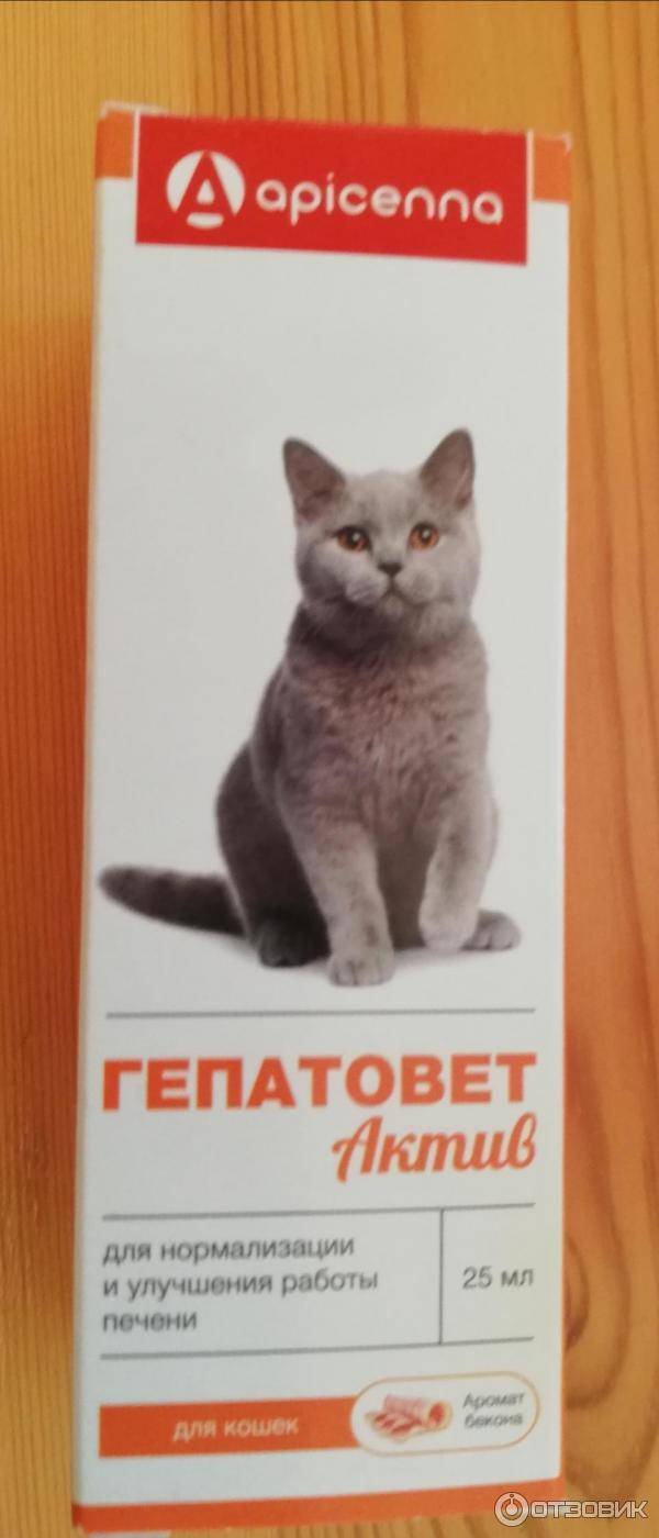 Гепатовет для кошек: инструкция по применению, состав