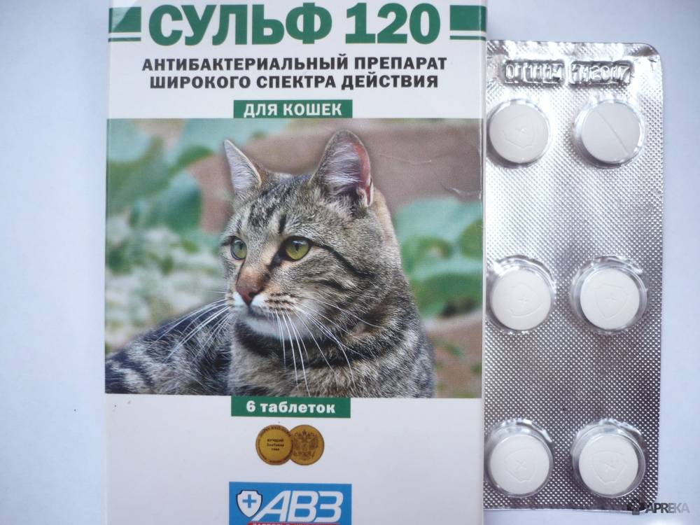 Гормональный укол для кошек от беременности