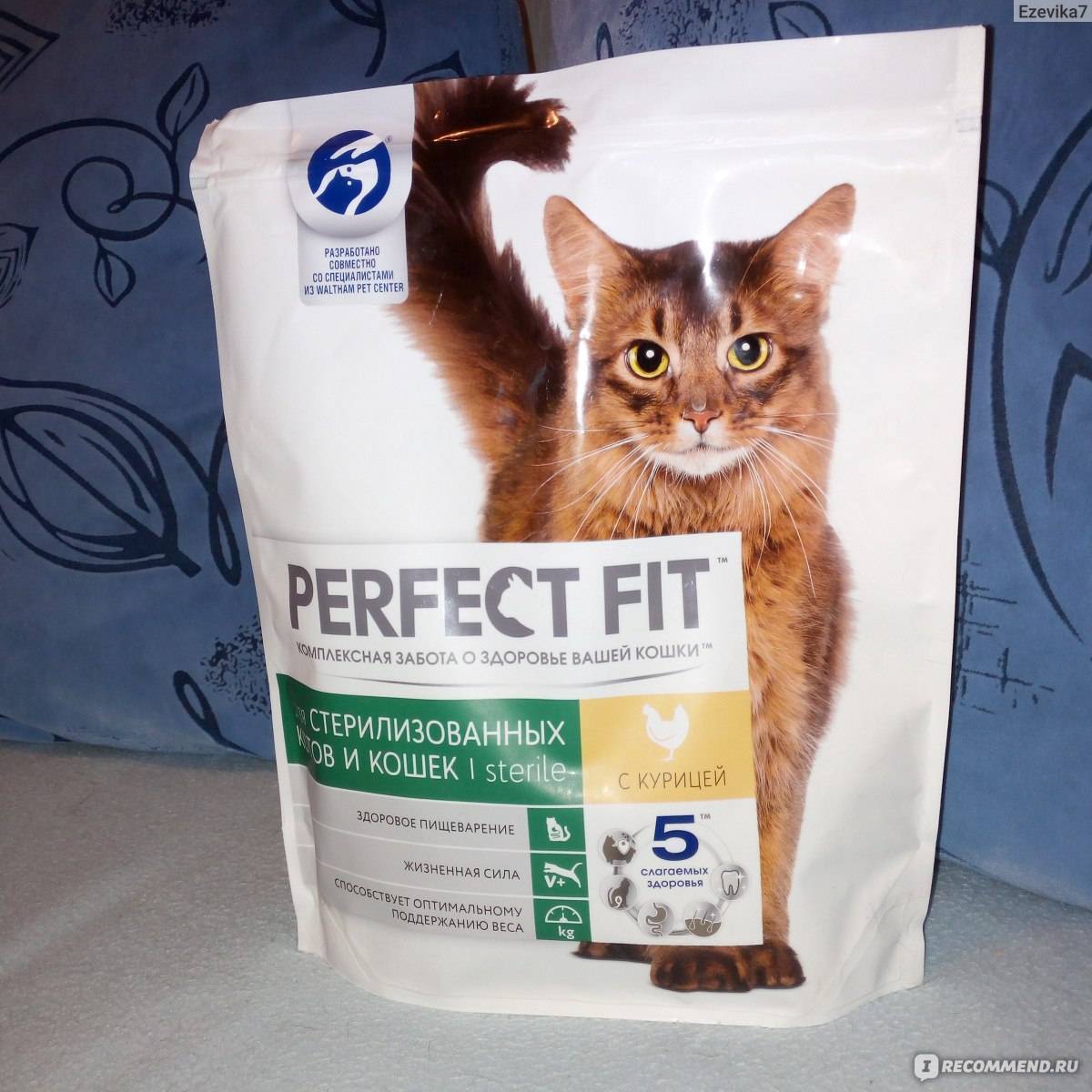 Корм «перфект фит» (perfect fit): описание и отзывы ветеринаров
