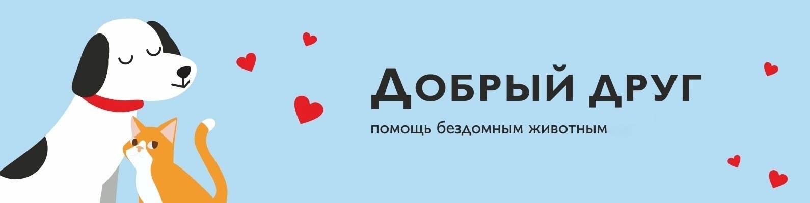 Социальная сеть для оказания помощи бездомным кошкам socialcatwork