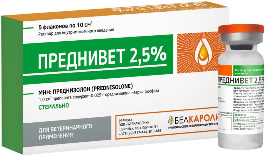 Обострение грыжи - симптомы и лечение