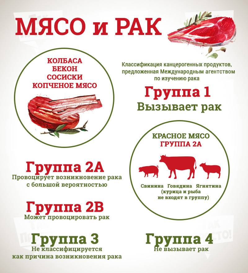Можно ли кошке давать свинину