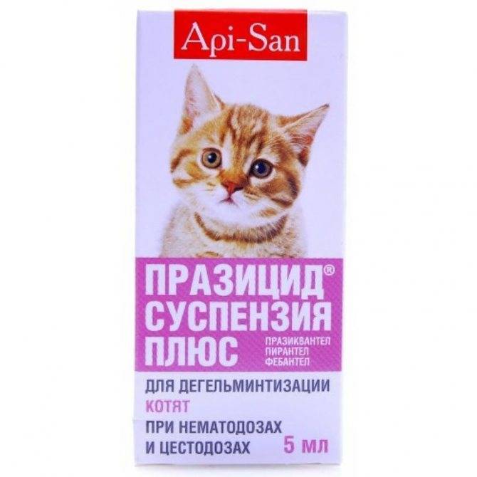 «празител» суспензия для кошек и котят: инструкция по применению