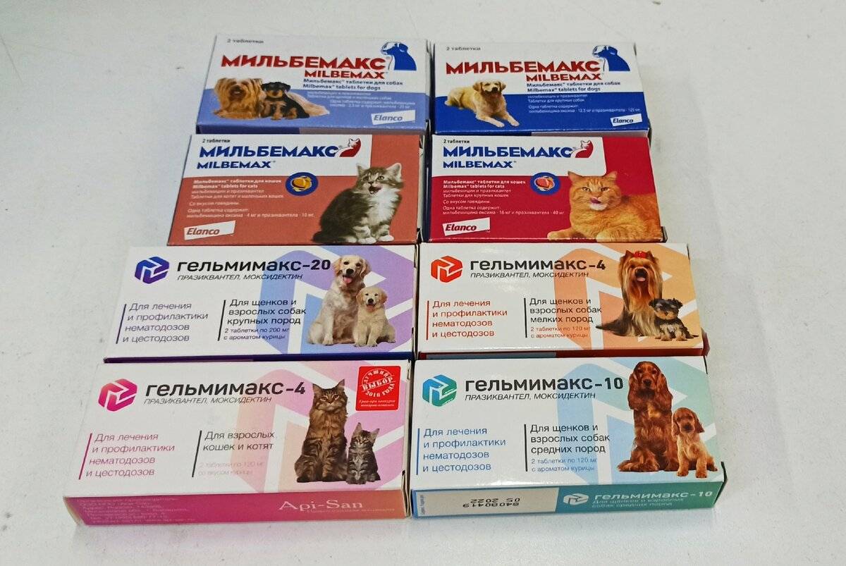 Дегельминтизация после прививки. Препараты для глистогонки кошек. Глистогон для кошек таблетки. Глистогонные препараты для кошек перед прививкой. Капли от глистов для щенков 2 месяца.