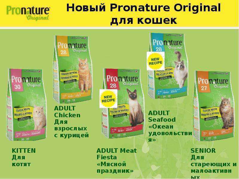 Корм "пронатюр" для кошек: состав продукции holistic и original для котят, взрослых и пожилых котов