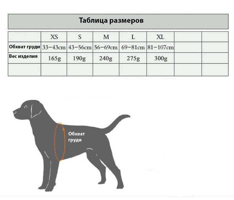 ᐉ как узнать размер шлейки для собаки? - zoomanji.ru