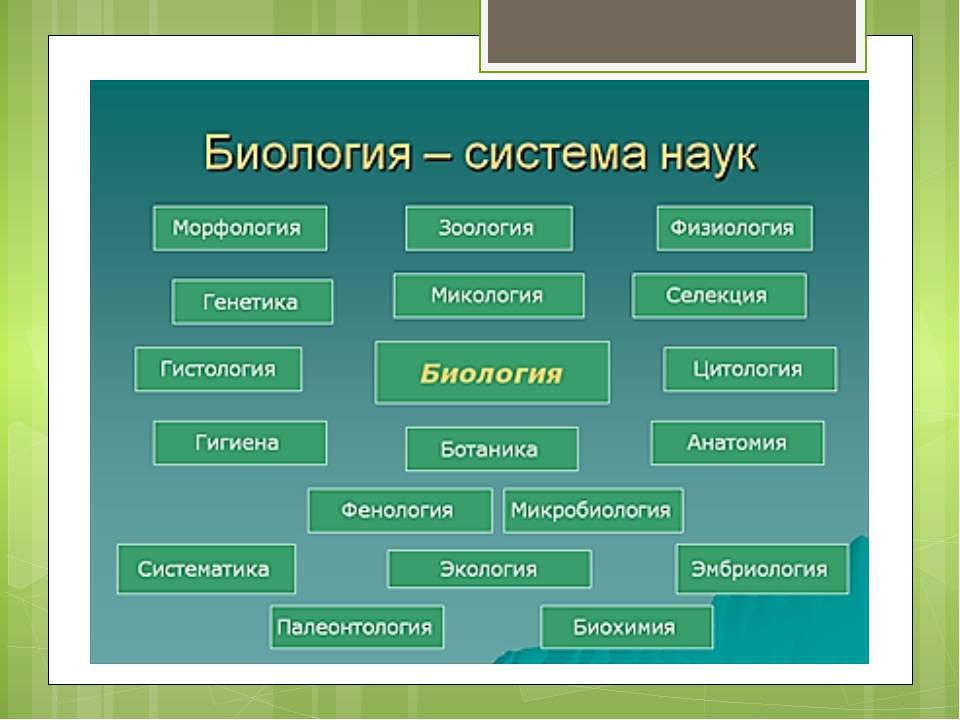 Биология как наука ответы на вопросы. Биология система наук о живой природе. Биологические науки 5 класс таблица. Биологические дисциплины. Современные разделы биологии.