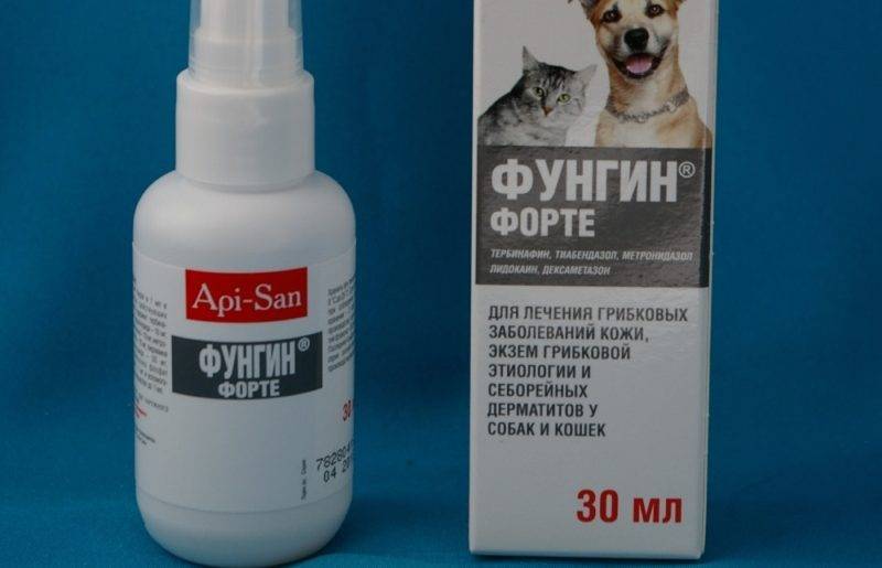 Фунгин форте для лечения трихофитии и микроспории у собак и кошек 10 мл