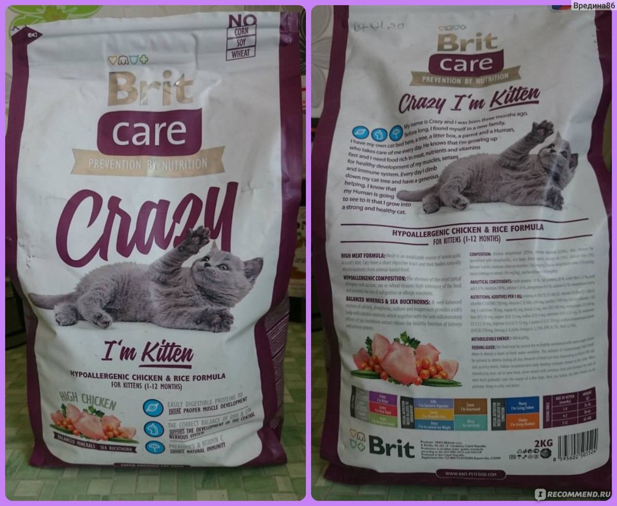 Что будет, если мы кормим кошку разными сухими кормами?