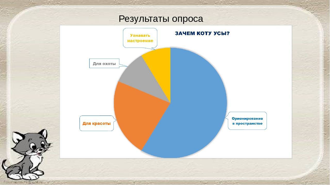 Для чего котам усы. Зачем котам усы?. Зачем коту нужны усы. Для чего кошке усы для детей. Зачем коту нужны усы рассуждение.