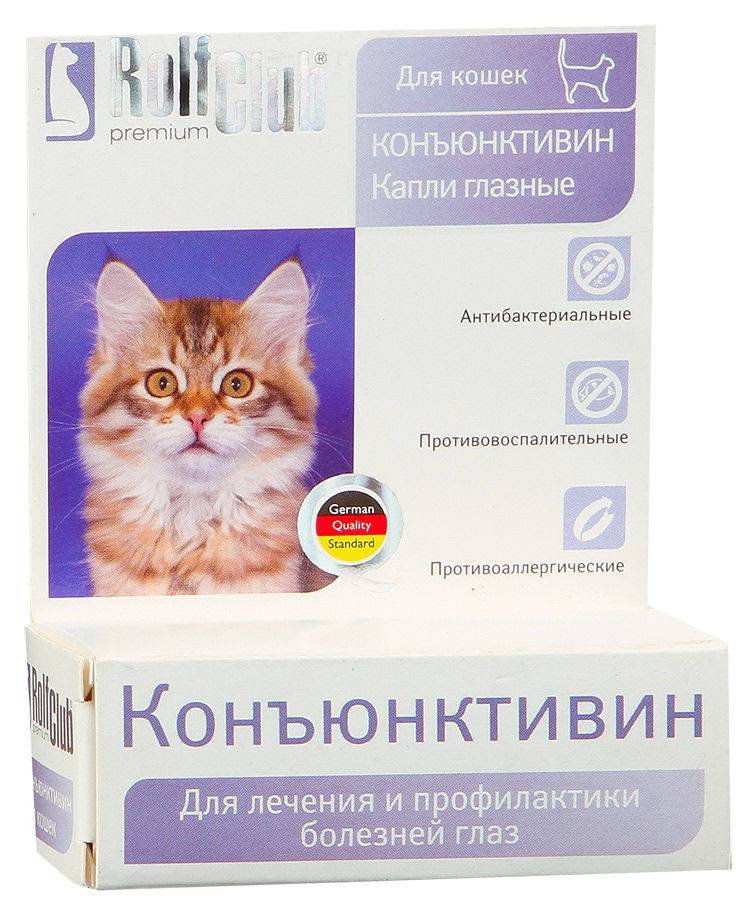 Конъюнктивит у кошек - виды, симптомы, лечение и профилактика конъюнктивита | forza 10