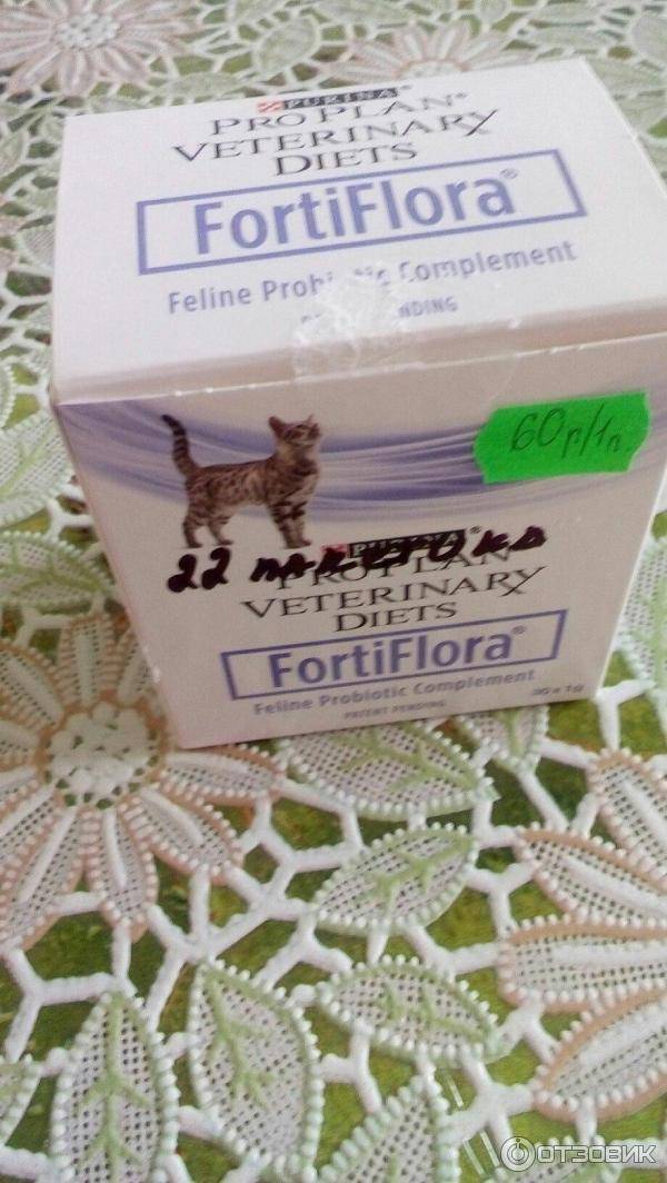 Фортифлора для кошек при поносе — topsamoe.ru