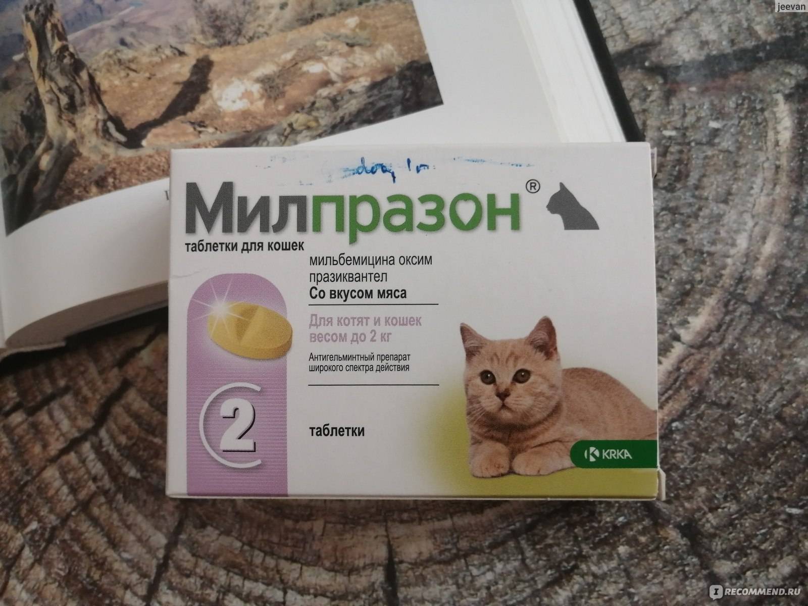 Чистотел для кошек от глистов: инструкция по применению