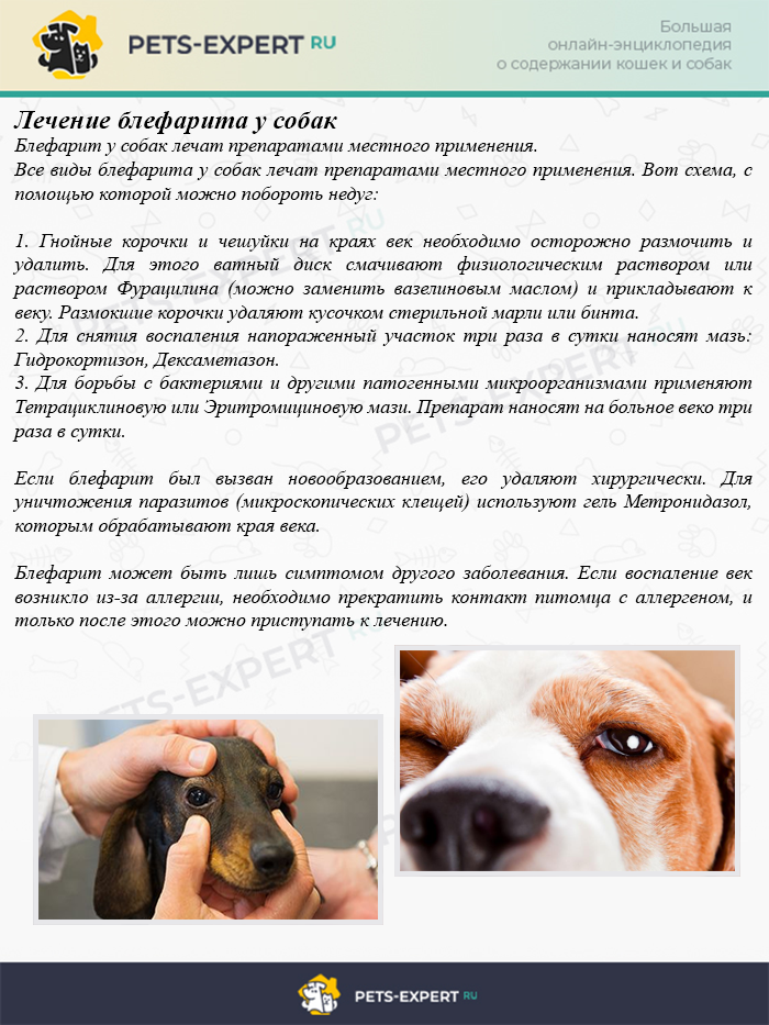 Остеомиелит ребра. воспаление рёберной костной ткани!