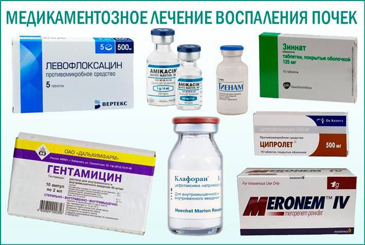Укол коту антибиотик