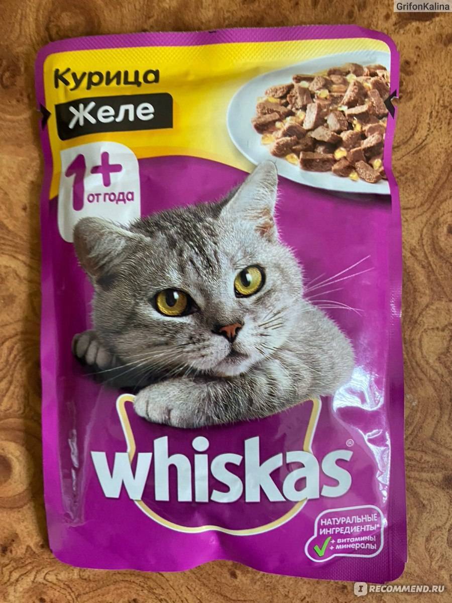 Информация для тех, кто кормит кошек вискасом. - наши британцы! - страна мам