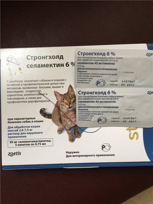 "стронгхолд" для кошек: показания, инструкция по применению, дозировка и противопоказания
