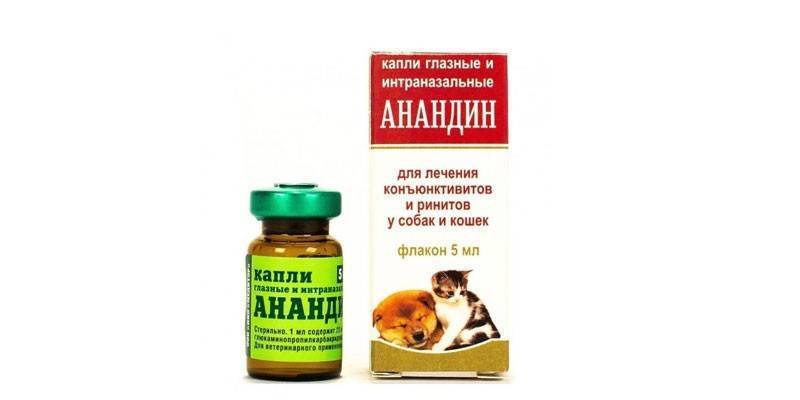 «анандин» для кошек: форма выпуска, применение, советы