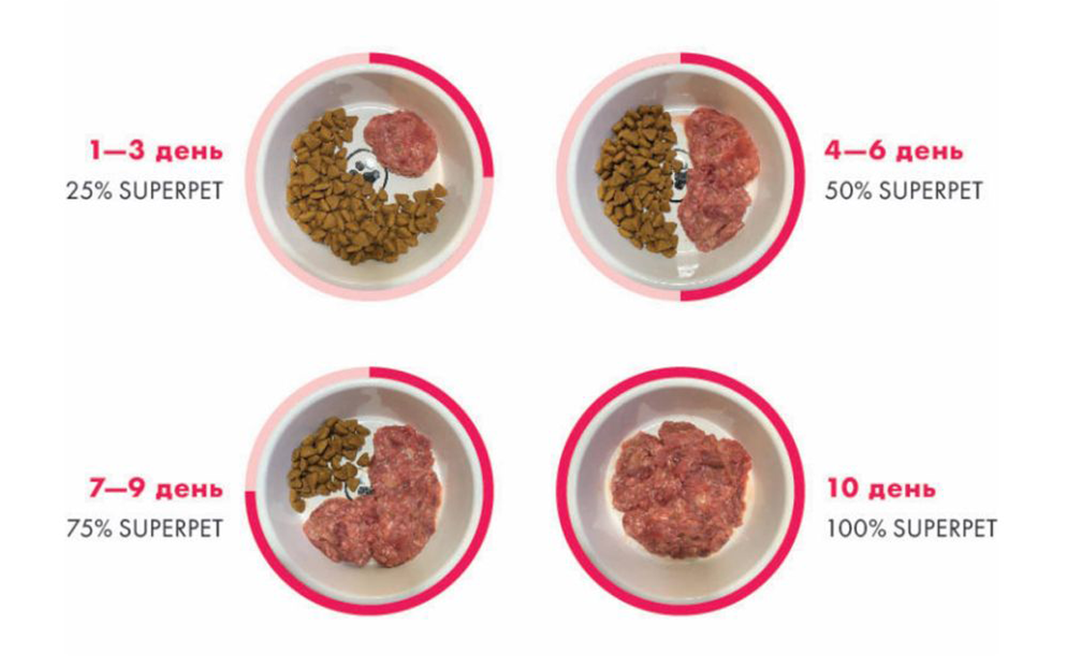 Как перевести кошку на натуральное питание мясом?