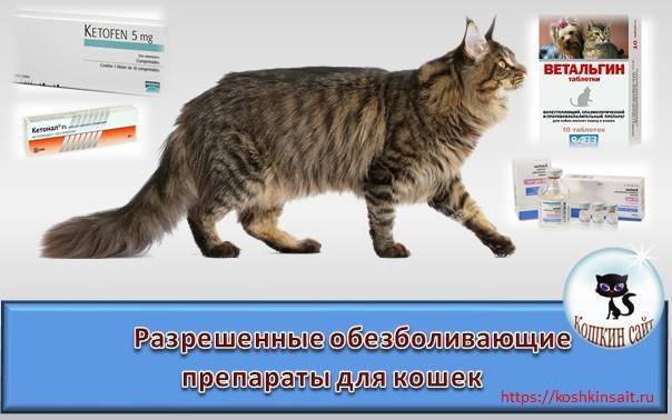 Обезболивающее при грудном вскармливании: какие можно пить таблетки от боли | nutrilak